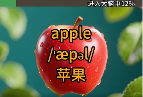 英文赛道丨洗脑英文单词记忆