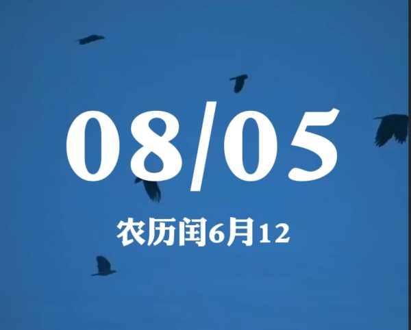 情感赛道丨情感日历语录
